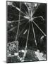 Broken Glass, c. 1955-Brett Weston-Mounted Photographic Print