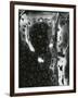 Broken Glass, c. 1955-Brett Weston-Framed Photographic Print