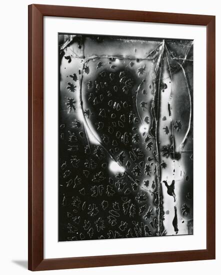 Broken Glass, c. 1955-Brett Weston-Framed Photographic Print