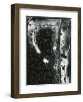 Broken Glass, c. 1955-Brett Weston-Framed Photographic Print