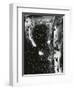 Broken Glass, c. 1955-Brett Weston-Framed Photographic Print