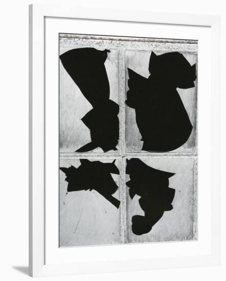 Broken Glass, c. 1970-Brett Weston-Framed Photographic Print