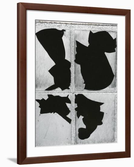 Broken Glass, c. 1970-Brett Weston-Framed Photographic Print