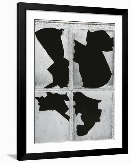 Broken Glass, c. 1970-Brett Weston-Framed Photographic Print