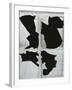 Broken Glass, c. 1970-Brett Weston-Framed Premium Photographic Print