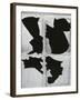 Broken Glass, c. 1970-Brett Weston-Framed Premium Photographic Print