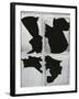 Broken Glass, c. 1970-Brett Weston-Framed Premium Photographic Print