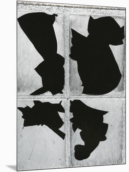 Broken Glass, c. 1970-Brett Weston-Mounted Photographic Print