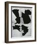 Broken Glass, c. 1970-Brett Weston-Framed Photographic Print