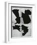 Broken Glass, c. 1970-Brett Weston-Framed Photographic Print