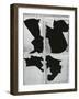 Broken Glass, c. 1970-Brett Weston-Framed Photographic Print