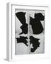 Broken Glass, c. 1970-Brett Weston-Framed Photographic Print