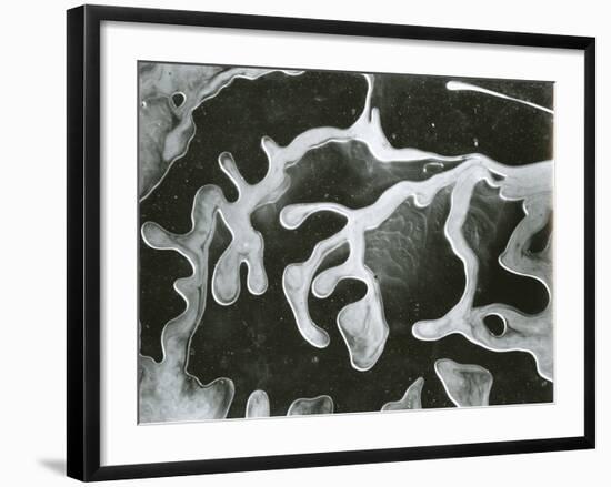 Broken Glass, California, 1954-Brett Weston-Framed Photographic Print