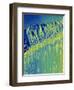 Broken Glass Edge-Micro Discovery-Framed Photographic Print