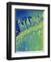 Broken Glass Edge-Micro Discovery-Framed Photographic Print