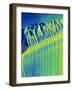 Broken Glass, SEM-Susumu Nishinaga-Framed Photographic Print