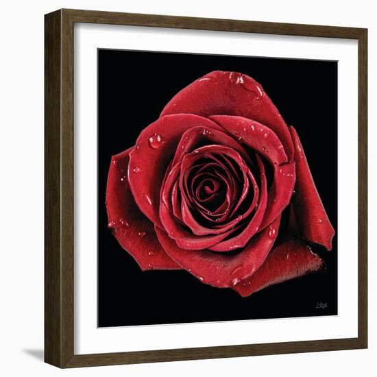 Broken Heart Rose-Donnie Quillen-Framed Art Print