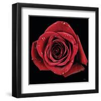 Broken Heart Rose-Donnie Quillen-Framed Art Print