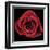 Broken Heart Rose-Donnie Quillen-Framed Art Print