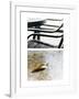 Broken Hearted-Henriette Lund Mackey-Framed Photographic Print