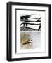 Broken Hearted-Henriette Lund Mackey-Framed Premium Photographic Print