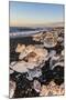 Broken Ice from Washed Upiicebergs on Jokulsarlon Black Beach at Sunrise-Neale Clark-Mounted Photographic Print