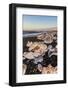 Broken Ice from Washed Upiicebergs on Jokulsarlon Black Beach at Sunrise-Neale Clark-Framed Photographic Print