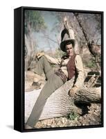 BROKEN LANCE, 1954 directed by EDWARD DMYTRYK Robert Wagner (photo)-null-Framed Stretched Canvas