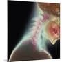 Broken Neck-Science Photo Library-Mounted Photographic Print