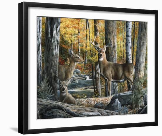 Broken Silence II-Kevin Daniel-Framed Art Print