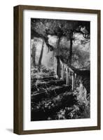 Broken Steps, Charleville Forest, County Offaly, Ireland-Simon Marsden-Framed Giclee Print