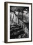 Broken Steps, Charleville Forest, County Offaly, Ireland-Simon Marsden-Framed Giclee Print