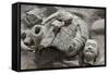 Broken Terracotta Soldier at Qin Shi Huangdi Tomb-null-Framed Stretched Canvas