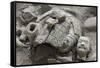 Broken Terracotta Soldier at Qin Shi Huangdi Tomb-null-Framed Stretched Canvas
