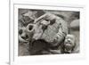Broken Terracotta Soldier at Qin Shi Huangdi Tomb-null-Framed Photographic Print