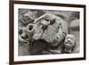 Broken Terracotta Soldier at Qin Shi Huangdi Tomb-null-Framed Photographic Print