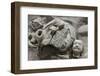 Broken Terracotta Soldier at Qin Shi Huangdi Tomb-null-Framed Photographic Print