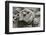 Broken Terracotta Soldier at Qin Shi Huangdi Tomb-null-Framed Photographic Print