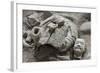 Broken Terracotta Soldier at Qin Shi Huangdi Tomb-null-Framed Photographic Print