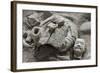 Broken Terracotta Soldier at Qin Shi Huangdi Tomb-null-Framed Photographic Print