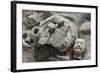 Broken Terracotta Soldier at Qin Shi Huangdi Tomb-null-Framed Photographic Print