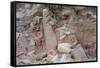 Broken Terracotta Soldiers at Qin Shi Huangdi Tomb-null-Framed Stretched Canvas