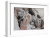 Broken Terracotta Soldiers at Qin Shi Huangdi Tomb-null-Framed Photographic Print