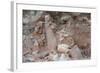 Broken Terracotta Soldiers at Qin Shi Huangdi Tomb-null-Framed Photographic Print