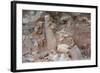 Broken Terracotta Soldiers at Qin Shi Huangdi Tomb-null-Framed Photographic Print