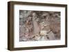 Broken Terracotta Soldiers at Qin Shi Huangdi Tomb-null-Framed Photographic Print