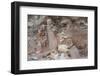 Broken Terracotta Soldiers at Qin Shi Huangdi Tomb-null-Framed Photographic Print