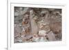 Broken Terracotta Soldiers at Qin Shi Huangdi Tomb-null-Framed Photographic Print