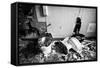 Broken Toilets-John Kershner-Framed Stretched Canvas