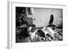 Broken Toilets-John Kershner-Framed Photographic Print